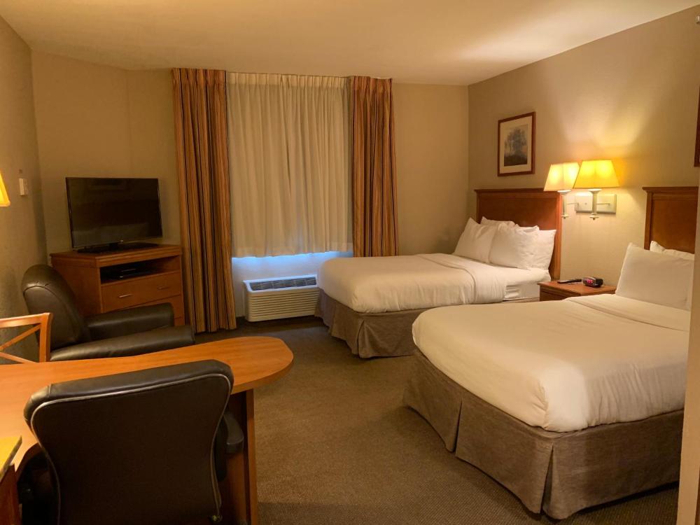 Studio Suite with Two Double Beds interior